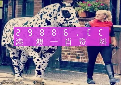香港网址王中王一肖中特的独特魅力与重要性，香港网址王中王一肖的独特魅力及其重要性