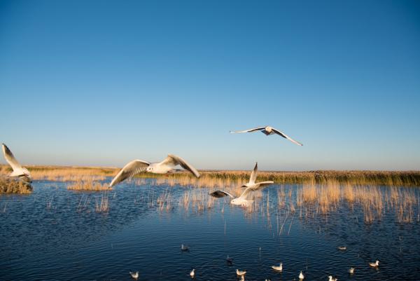 呼伦湖号综合补给舰，海上力量的重要支柱，呼伦湖号综合补给舰，海上力量的核心支柱