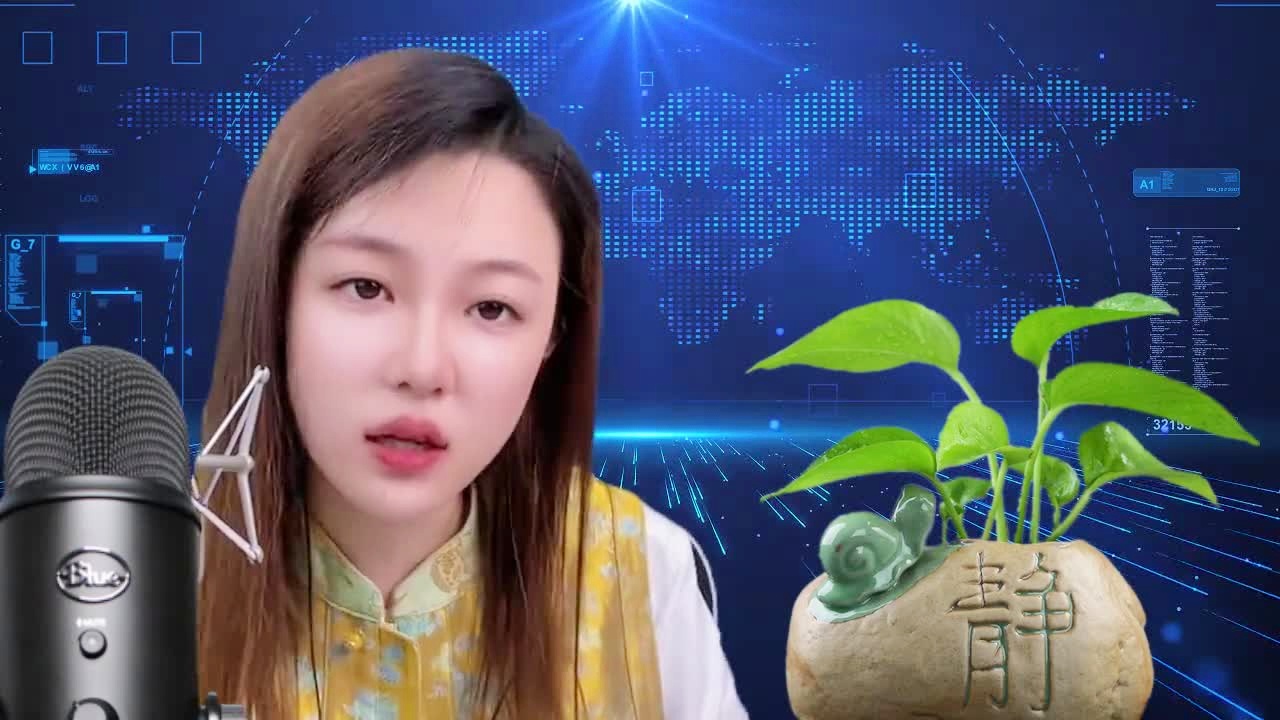 国际观察下的西瓜视频与主持人苏琳，国际视角下的西瓜视频与主持人苏琳观察分析