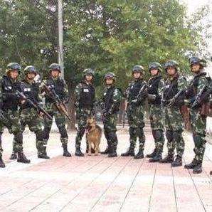 中国人民武装警察部队特种警察学院2020年录取分数线解析与前瞻,中国人民武装警察部队特种警察学院2020年录取分数线的解析与前瞻