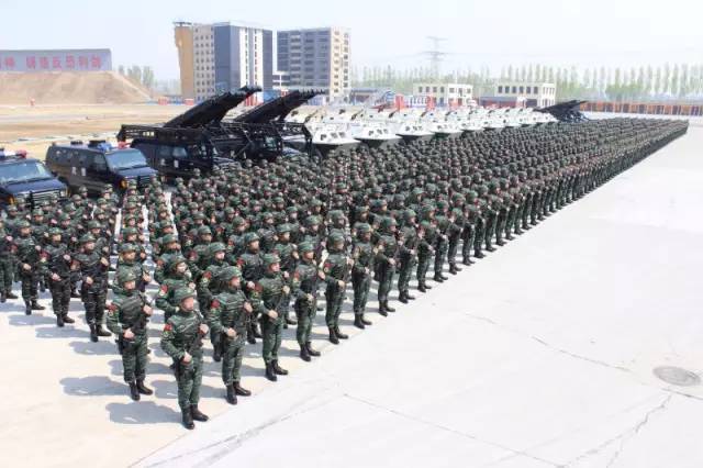 北京武警特种警察学院深度解析，一所培养特种精英的摇篮，北京武警特种警察学院深度解析，特种精英培养的摇篮