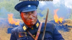 国民革命军第三十四集团军的历程与贡献，国民革命军第三十四集团军历程与贡献概览