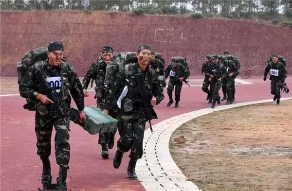 中国特种兵军衔，荣誉与责任的象征，中国特种兵军衔，荣誉与责任的标志