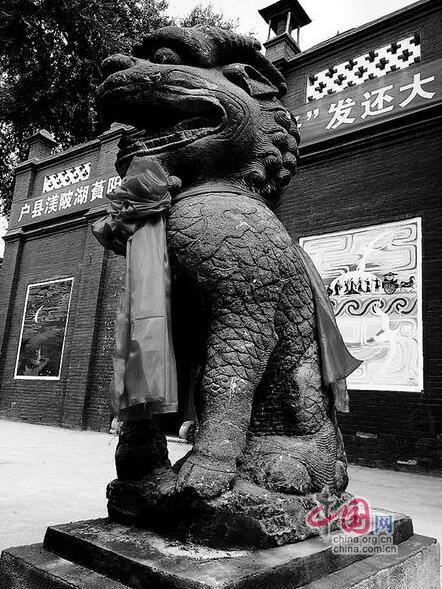 天网栏目，探索真实世界的深度洞察者，天网栏目，深度洞察真实世界的探索者