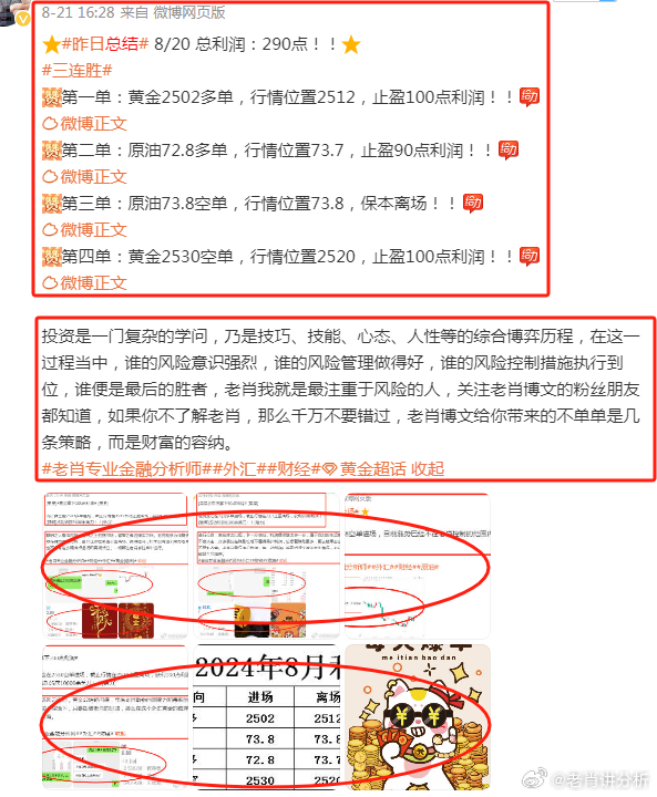 澳门三期内必开一肖精，探索与解析，澳门三期内必开一肖精，深度探索与解析