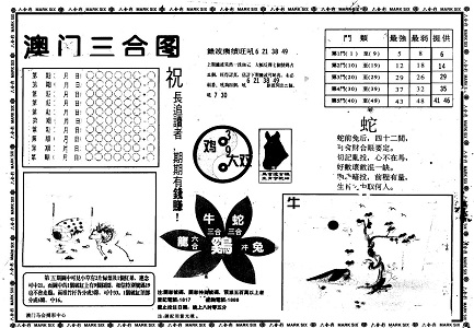王中王特一肖中特，探寻独特魅力的多元融合，探寻王中王特一肖的独特魅力与多元融合之美