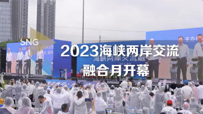 海峡两岸新闻聚焦，2023年11月21日的交流与融合新篇章，海峡两岸交流与融合新篇章，新闻聚焦下的两岸关系动态（2023年11月21日）