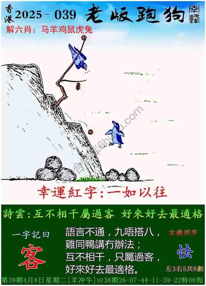 数字神秘面纱（或跑狗图数字神秘面纱）
