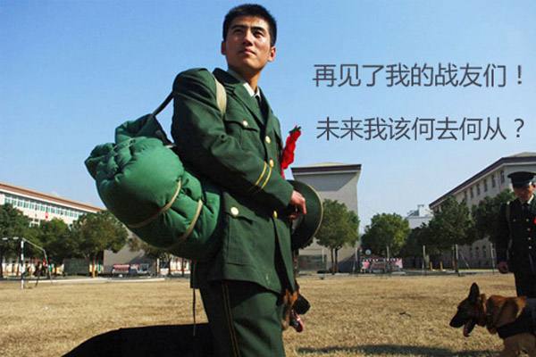 新华方面军首演番号，历史中的辉煌篇章，新华方面军首演番号，辉煌篇章的历史见证
