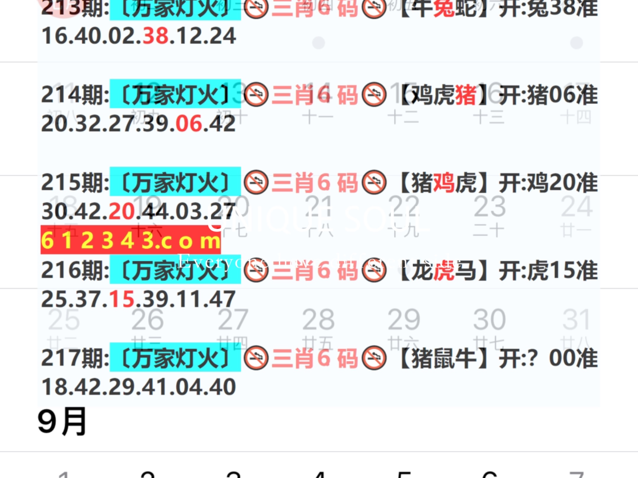 新澳门一肖一码资料，揭秘与探索彩票文化背后的秘密，揭秘彩票文化之澳门一肖一码资料探索