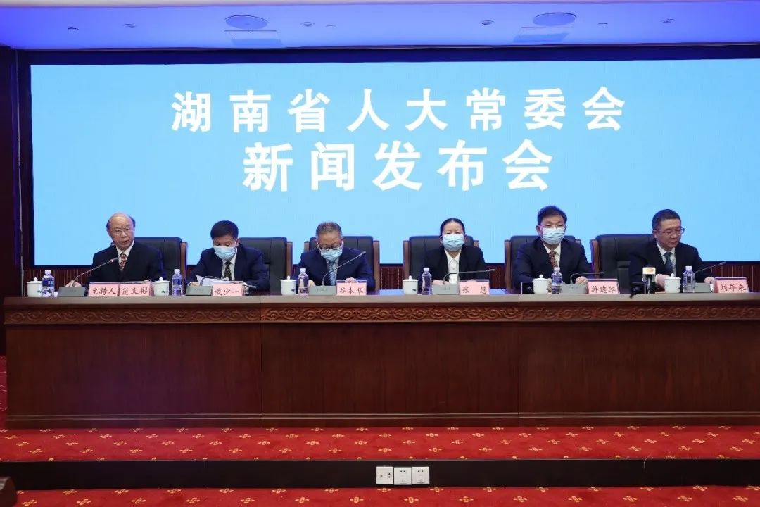 最新动态与解读