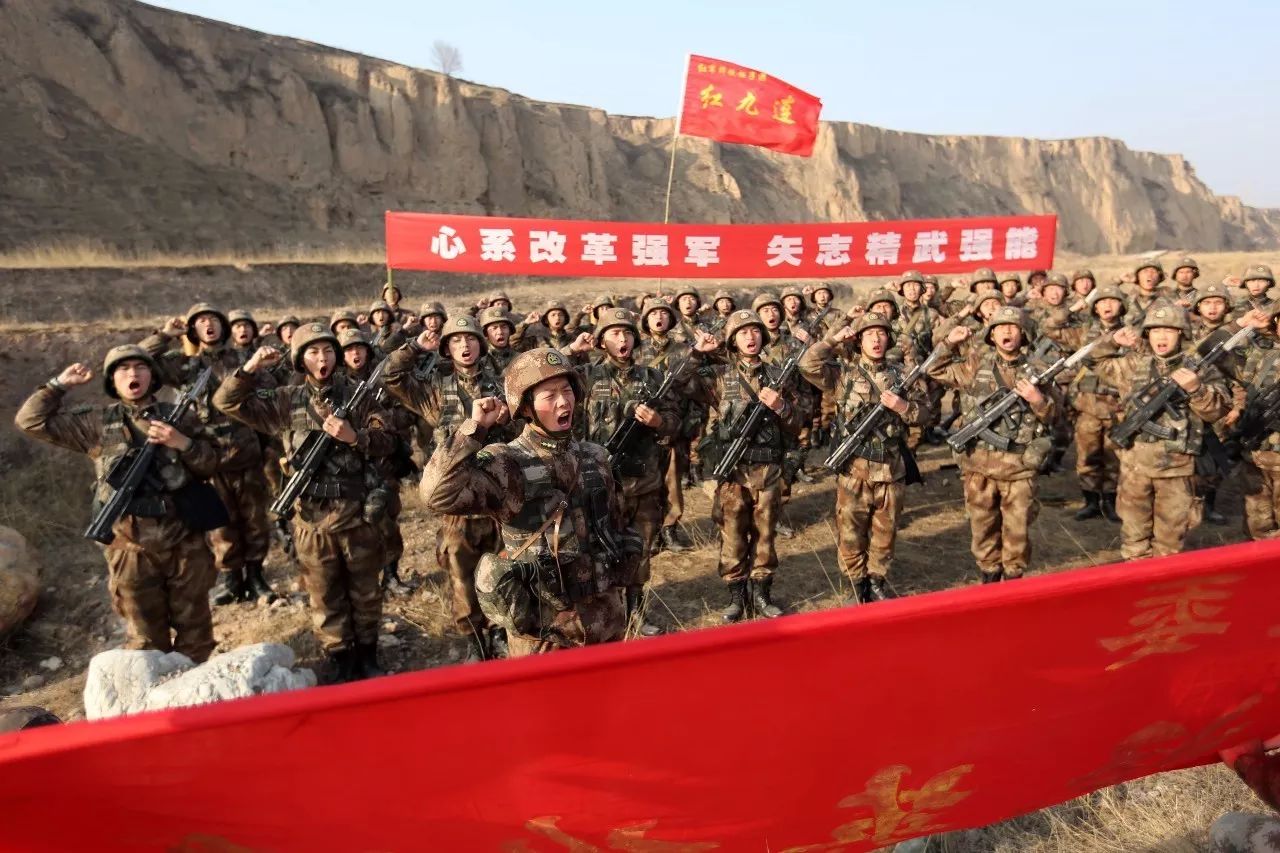 关于中国人民解放军陆军第XXX集团军直属团的深度解析，中国人民解放军陆军第XXX集团军直属团深度剖析