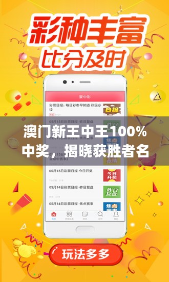 新澳门王中王100%期期中——探索彩票世界的神秘面纱，澳门王中王彩票探索，揭开神秘面纱的期期中揭秘