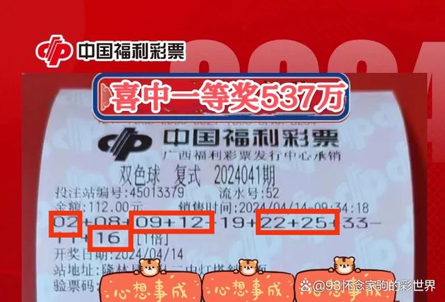 王中王平特一肖期期公开，深度解读与预测分析，王中王平特一肖期期公开，深度解读与预测分析报告