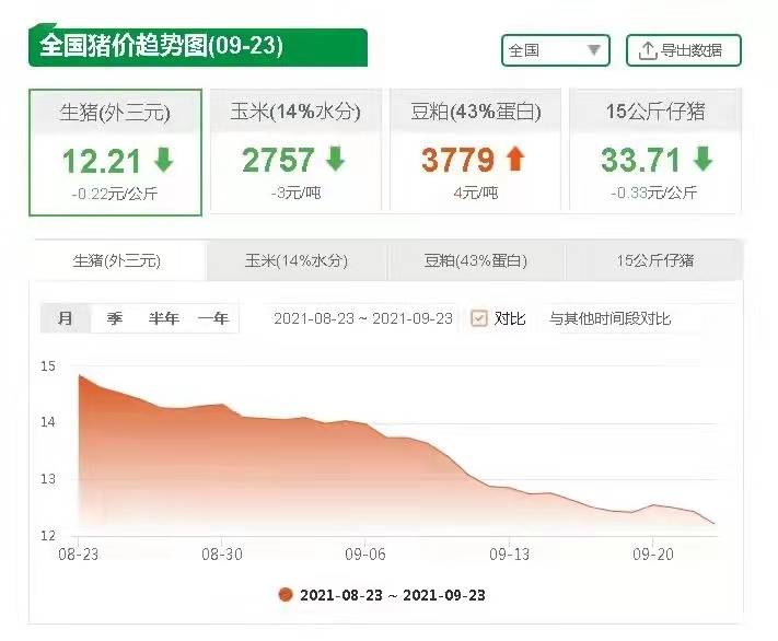 解析/分析