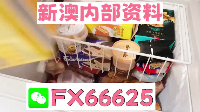 新奥长期免费资料大全，深度探索与实际应用，新奥长期免费资料大全，深度探索与实战应用指南