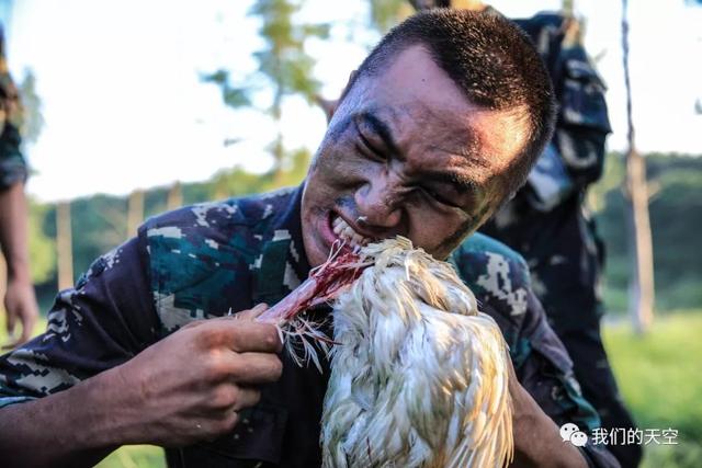 猎人训练地狱周,挑战极限,锻造精英,猎人训练地狱周,锻造精英的挑战极限之旅