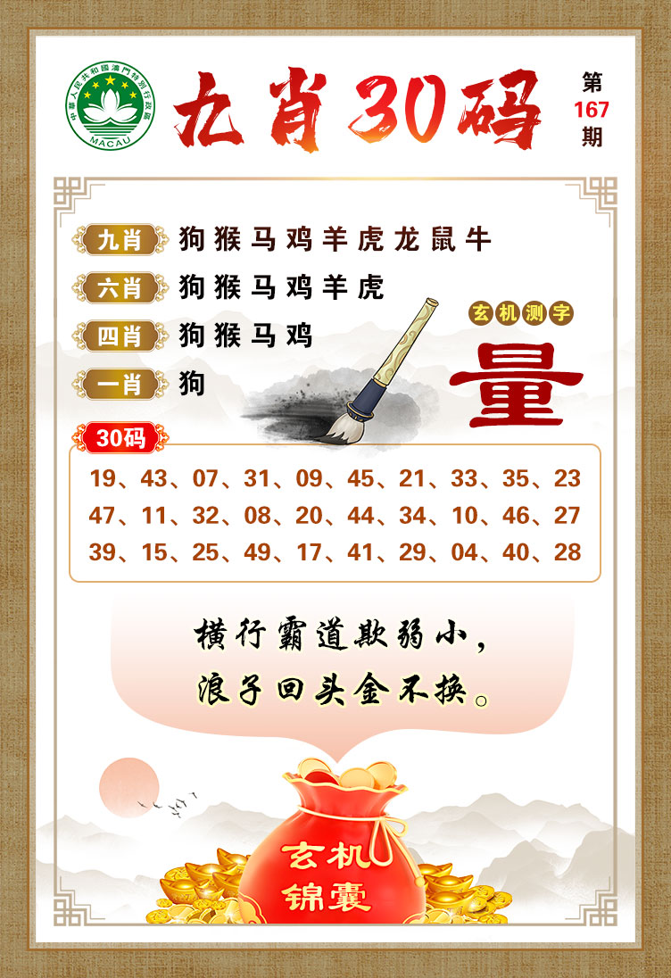 王中王一马一肖，传奇的组合与独特的魅力，王中王一马一肖，传奇组合的魅力与独特风采