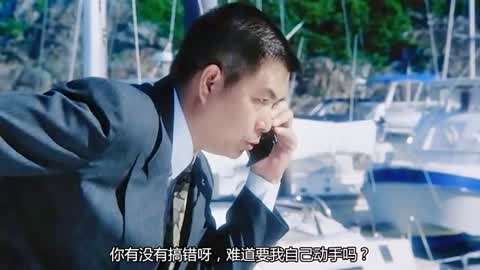 中国南海保镖，守护海洋安全的勇者传奇（免费观看国语版），中国南海保镖，勇者传奇，守护海洋安全（免费观看国语版）
