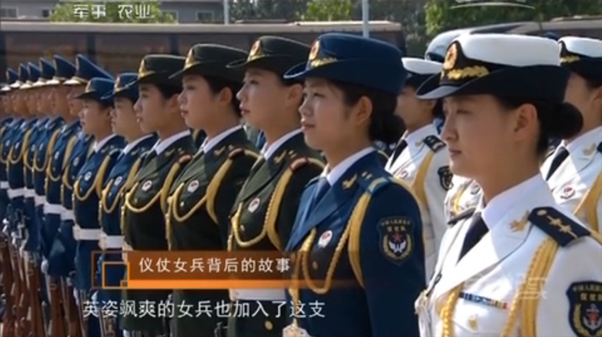 三军仪仗队图片手绘，展现荣耀与力量的艺术呈现，三军仪仗队手绘图片，荣耀与力量的艺术展现