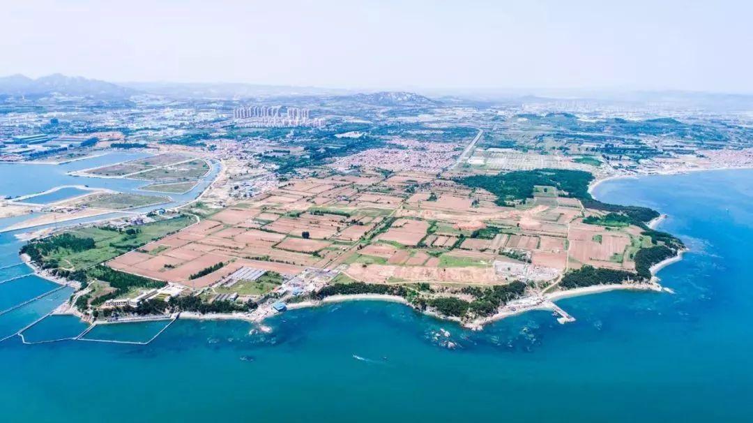蛟龙600首飞时间，中国航空工业的里程碑时刻，中国航空工业里程碑，蛟龙600首飞时间揭晓