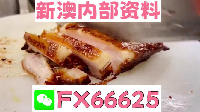 新奥长期免费资料大全，深度挖掘与综合应用，新奥长期免费资料的综合挖掘与应用大全
