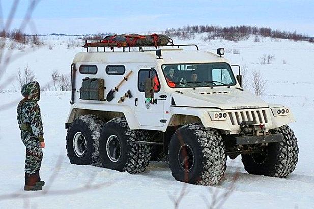 世界新闻电影剧情深度介绍,全球新闻电影剧情深度剖析