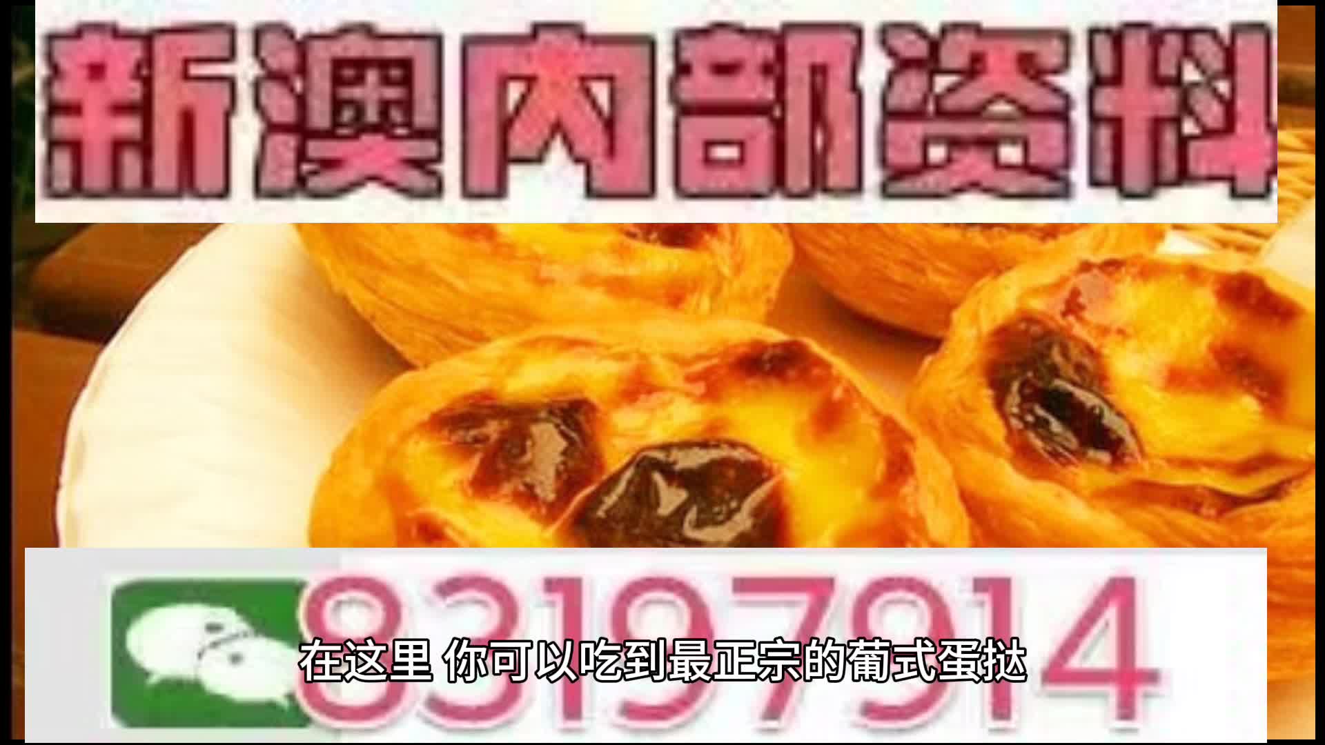 新澳门内部十码中特，探索与解读，新澳门内部十码中特，深度解读与探索