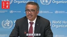 东方时事国际观察，多维视角下的全球动态分析，东方时事国际观察，全球动态的多维视角分析