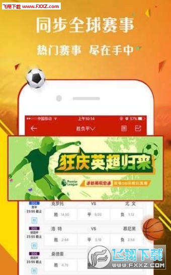 探索王中王一肖中持，一段独特的文化现象之旅，王中王一肖中的文化探索之旅
