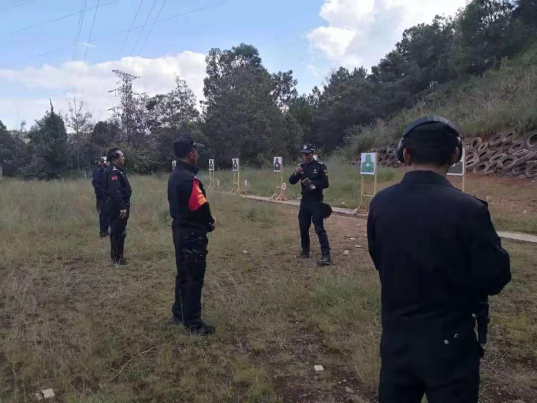 关于92式警用枪的研究与探讨，92式警用枪的研究与探讨，深入解析枪支性能及应用场景