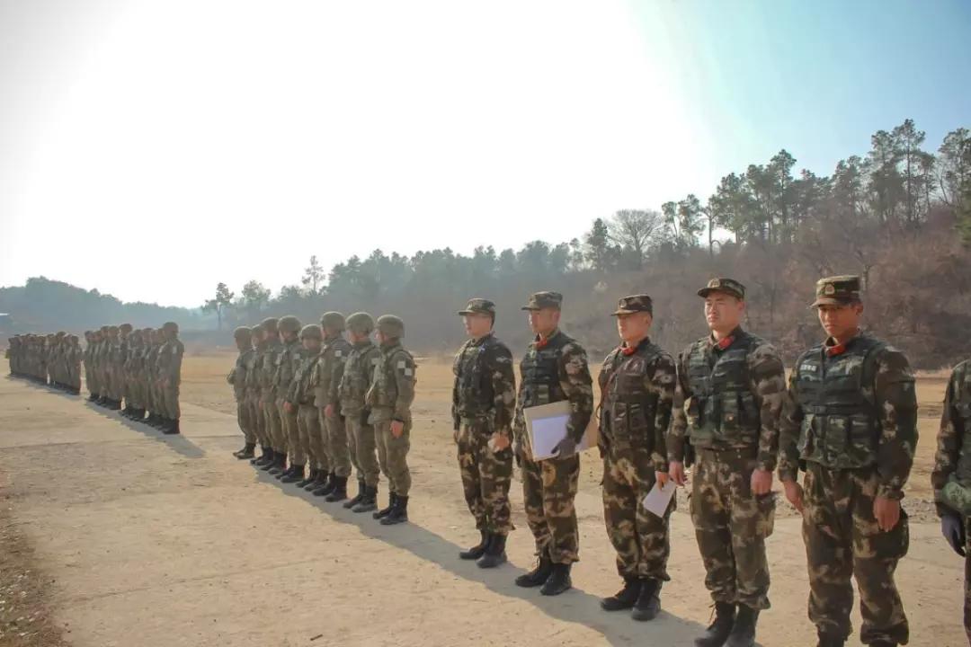 武警部队为什么不用星空迷彩,理性分析与现实考量,武警部队未采用星空迷彩的原因,理性分析与现实考量