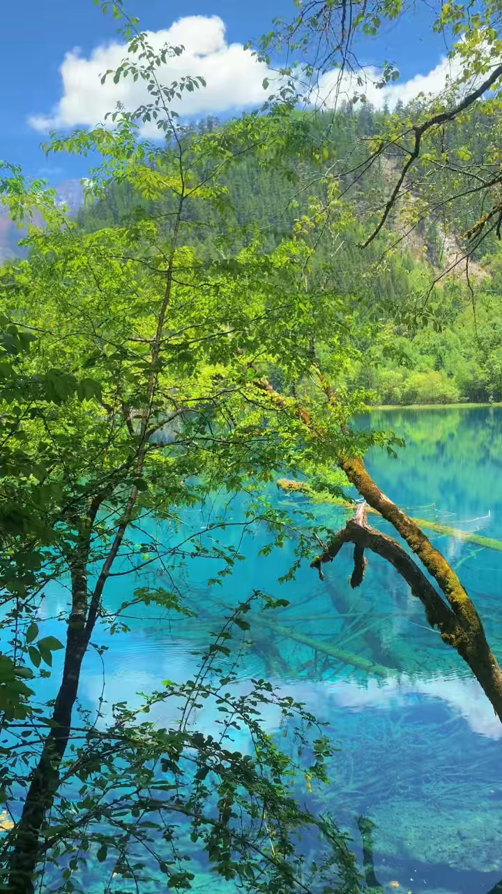 美不胜收——探索无尽之美，探索无尽之美，美不胜收之旅