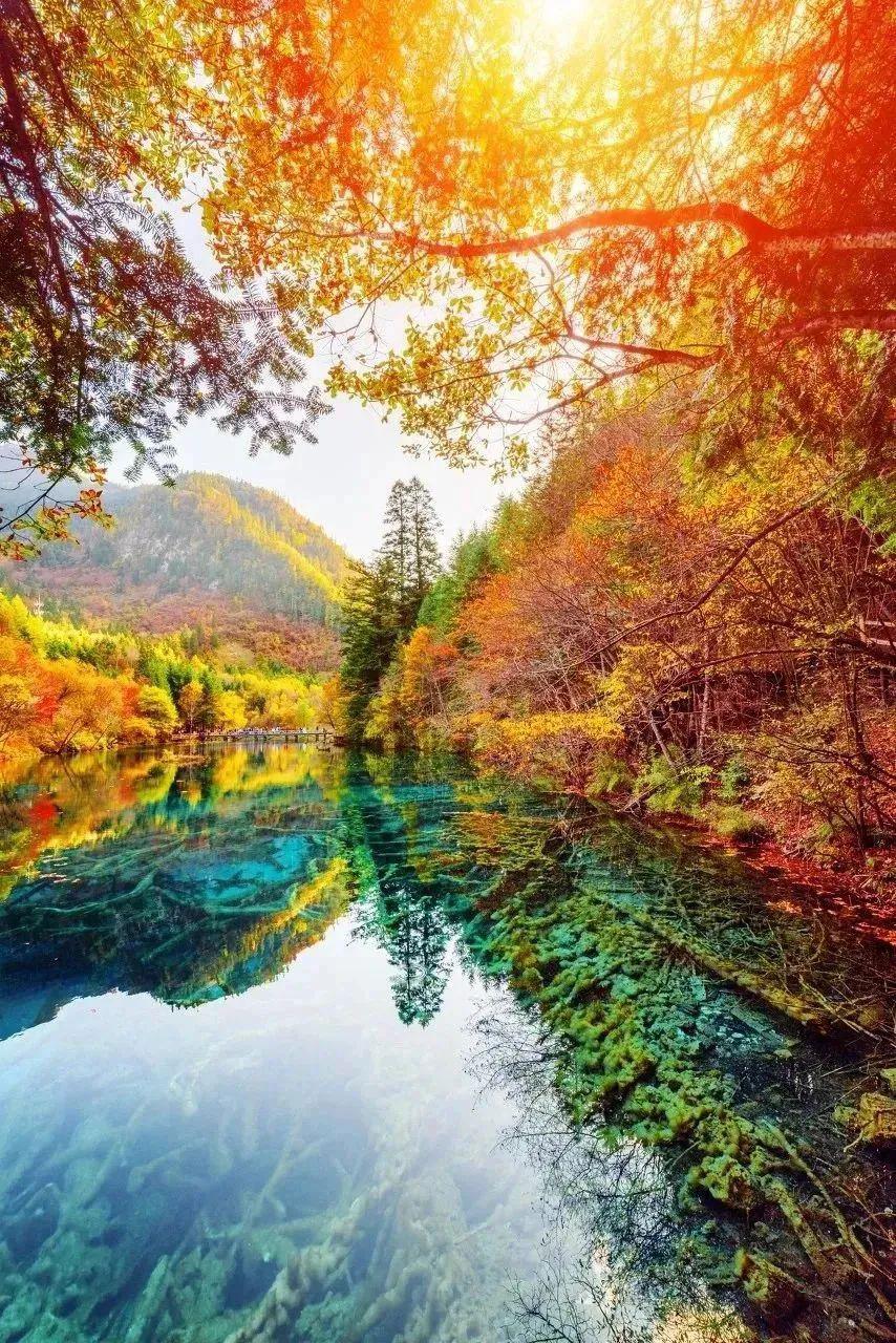 美不胜收——探索无尽之美,探索无尽之美,美不胜收之旅