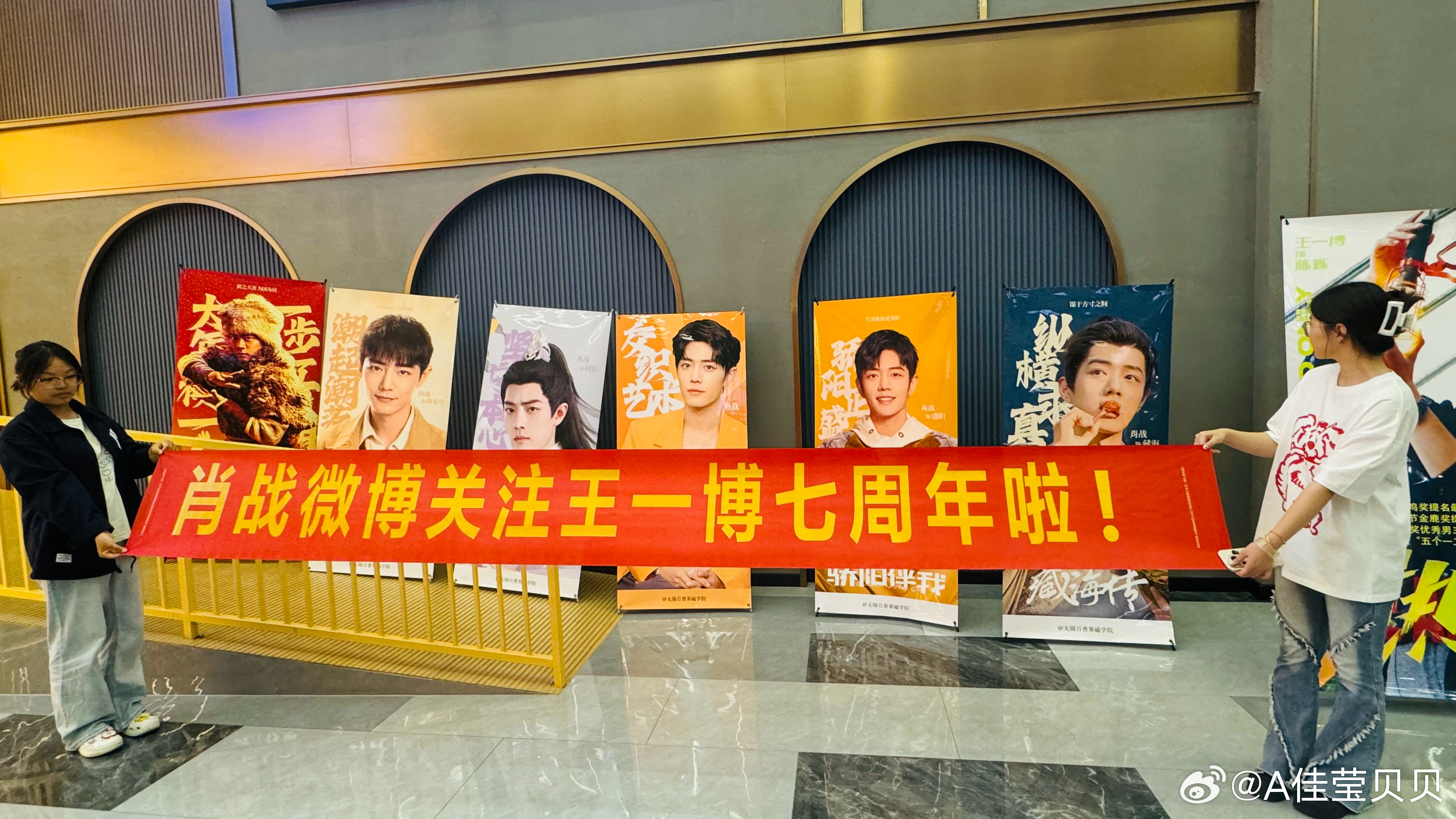 王中王资料一肖图片，探寻背后的故事与神秘魅力，揭秘王中王资料一肖图片背后的故事与神秘魅力