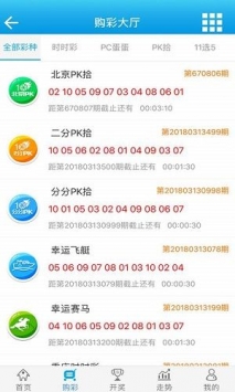 澳门资料大全正版资料查询器