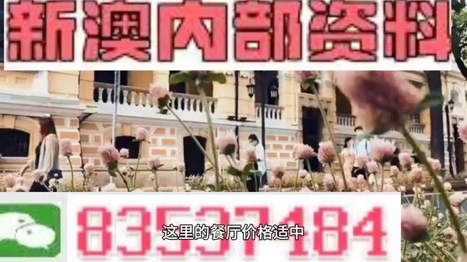 香港最快最精准的免费资料，探索与解析，香港最新精准免费资料解析与探索