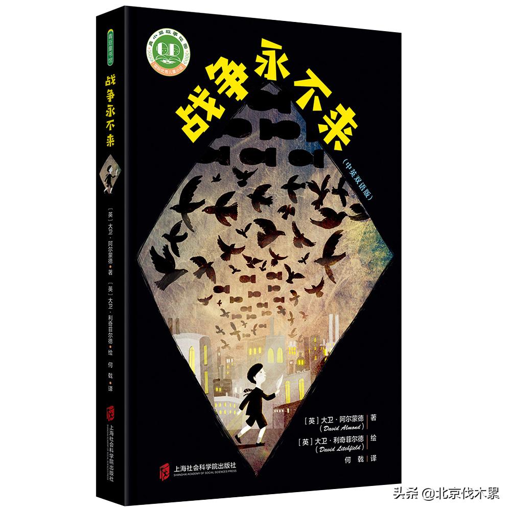 战争中的儿童，希望与未来的呼唤，战争中的儿童，希望之光与未来的呼唤