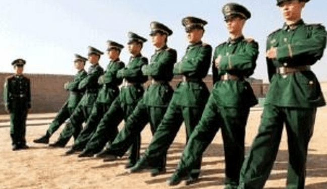 一年国家征兵多少女生，女性征兵现状及趋势分析，女性征兵现状及趋势分析，每年女性征兵名额与趋势解读
