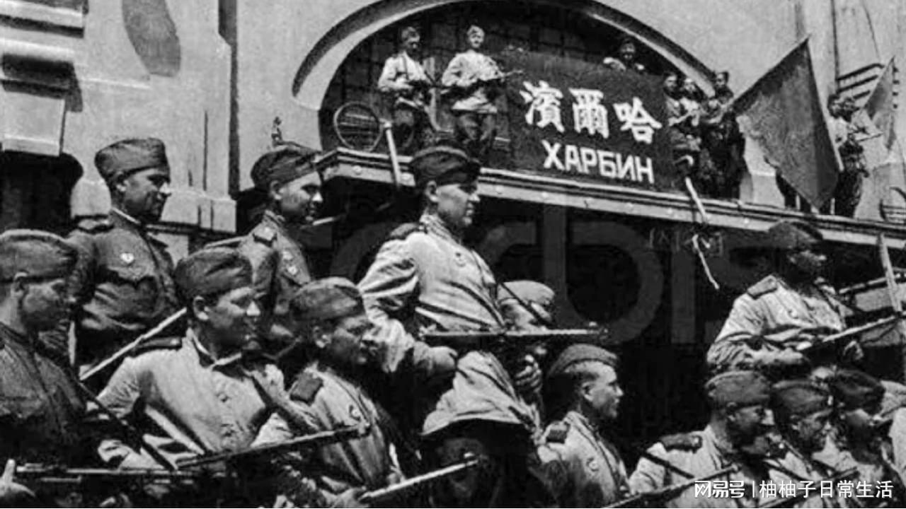 俄罗斯宣战日本,历史背景与现代影响分析,俄罗斯对日本的宣战行动,历史背景与现代影响探讨