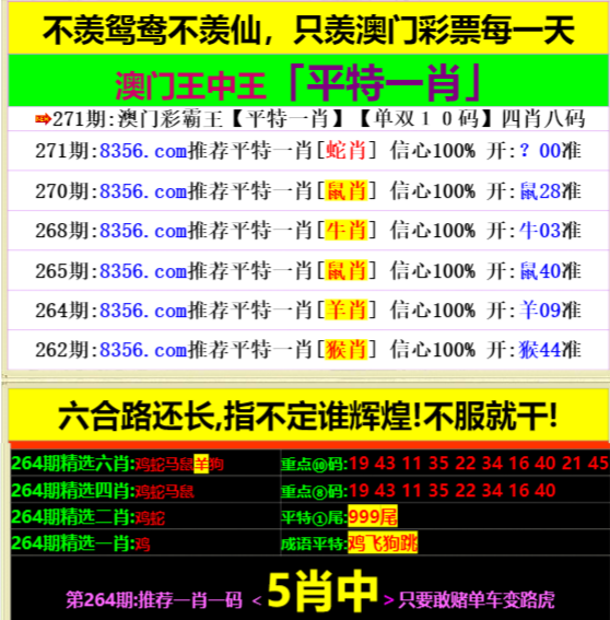 王中王心水一肖中特天——探寻命运之轮背后的奥秘，探寻命运之轮背后的奥秘，王中王心水一肖中特天揭秘