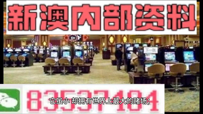 探索新澳正版资料，揭秘最新动态与趋势展望（2024年），揭秘新澳正版资料最新动态与趋势展望（2024年深度探索）