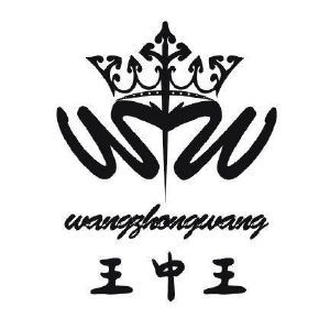 王中王精选一肖头,探寻成功之道的独特视角,王中王精选一肖头,独特视角探寻成功之道