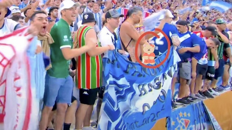 世界杯女球迷当众掀衣服，激情与失态的边界，世界杯女球迷掀衣事件，激情与失态的界限探讨