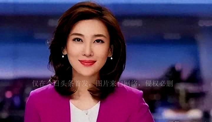 央视海峡两岸女主持人,传承与创新的典范,央视海峡两岸女主持人,传承创新,典范闪耀