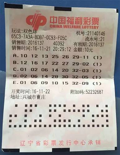 揭秘2016平特一肖王中王背后的故事，揭秘，2016平特一肖王中王的背后传奇故事