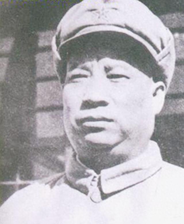 揭秘第1集团军的所属军种与部队，揭秘第1集团军所属军种与部队全貌