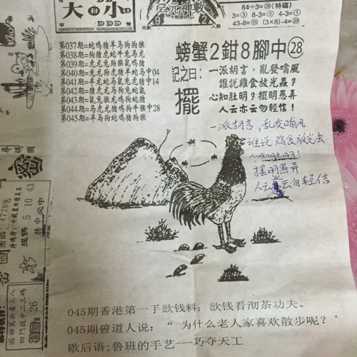 王中王看图找一肖79期，揭秘神秘图案背后的奥秘，揭秘神秘图案背后的奥秘，王中王看图找一肖79期探秘之旅