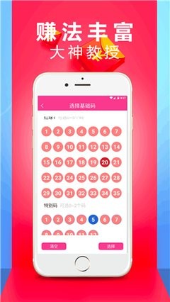 王中王精选六肖中特一丶——揭秘精准选择的奥秘，揭秘王中王精选六肖精准选择的秘密