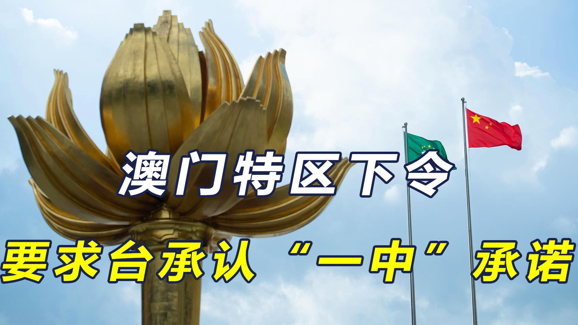 澳门一码一肖一待一中，探索与解读，澳门一码一肖一待一中，深度解读与探索